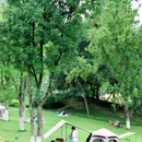 永安湖城市森林公园 - 成都市旅游 缩略图 7