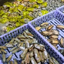 万小七鲜货排档 ·炒菜·烧烤·海鲜(光谷店) - 武汉市旅游 缩略图 9