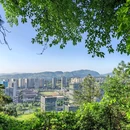 竹文化生态公园 - 宜宾市旅游 缩略图 5