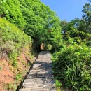 竹文化生态公园 - 宜宾市旅游 缩略图 2