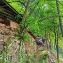 竹文化生态公园 - 宜宾市旅游 缩略图 4