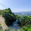 竹文化生态公园 - 宜宾市旅游 缩略图 6