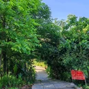 竹文化生态公园 - 宜宾市旅游 缩略图 7