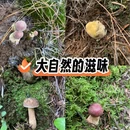 会泽逸博大酒店(会泽古城店) - 曲靖市旅游 缩略图 1