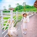 南溪欢乐田园 - 宜宾市旅游 缩略图 8