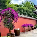 白塔公园-沈阳弥陀寺 - 沈阳市旅游 缩略图 9