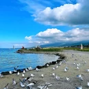 塔尔寺景区 - 西宁市旅游 缩略图 9