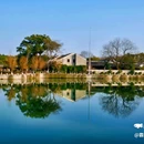八大山人梅湖景区 - 南昌市旅游 缩略图 5