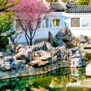 八大山人梅湖景区 - 南昌市旅游 缩略图 6