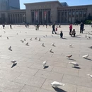 解放广场 - 石家庄旅游 缩略图 6