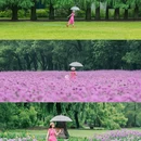 北京展览馆 - 北京市旅游 缩略图 1