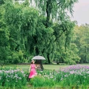 北京展览馆 - 北京市旅游 缩略图 9