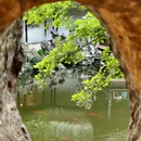 退思园 - 苏州市旅游 缩略图 2