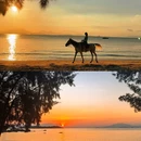 星空·海月 - 惠州市旅游 缩略图 8
