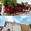 淇澳岛红树林 - 珠海市旅游 缩略图 5