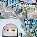 淇澳岛红树林 - 珠海市旅游 缩略图 9