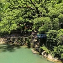 大奇山 - 杭州市旅游 缩略图 1