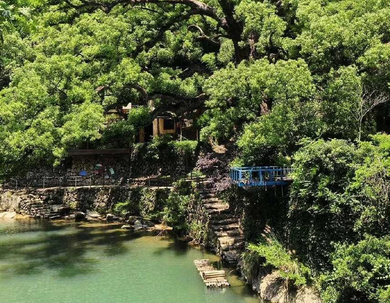 大奇山 - 杭州市旅游 1