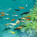 大奇山 - 杭州市旅游 缩略图 3