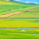 呼伦贝尔大草原 - 呼伦贝尔市旅游 缩略图 8