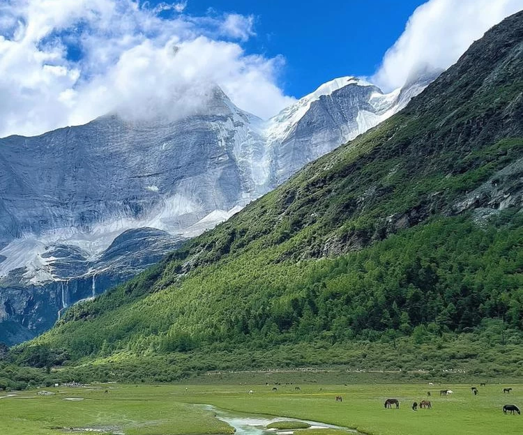 四姑娘山景区 - 阿坝藏族羌族自治州旅游 1