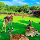 明孝陵景区 - 南京市旅游 缩略图 2