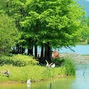 明孝陵景区 - 南京市旅游 缩略图 1