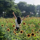 伦教滨江公园-篮球场 - 佛山市旅游 缩略图 1