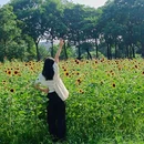 伦教滨江公园-篮球场 - 佛山市旅游 缩略图 5