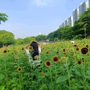 伦教滨江公园-篮球场 - 佛山市旅游 缩略图 3