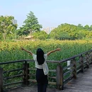 伦教滨江公园-篮球场 - 佛山市旅游 缩略图 7
