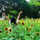 伦教滨江公园-篮球场 - 佛山市旅游 缩略图 6