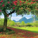 信昌·桂海晴岚景区 - 桂林市旅游 缩略图 2
