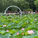 佛山燃气大厦 - 佛山市旅游 缩略图 1