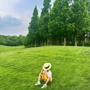 成都香格里拉 - 成都市旅游 缩略图 2