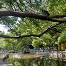 苏州市西园戒幢律寺 - 苏州市旅游 缩略图 4