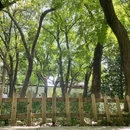 苏州市西园戒幢律寺 - 苏州市旅游 缩略图 1