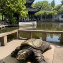 苏州市西园戒幢律寺 - 苏州市旅游 缩略图 6
