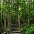 都江堰新华海颐·御垒山居酒店 - 成都市旅游 缩略图 2