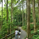 都江堰新华海颐·御垒山居酒店 - 成都市旅游 缩略图 4