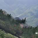 新安江滨水旅游景区 - 黄山市旅游 缩略图 2