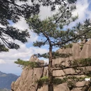 新安江滨水旅游景区 - 黄山市旅游 缩略图 6