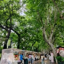 大兜路历史街区 - 杭州旅游 缩略图 3