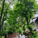 大兜路历史街区 - 杭州旅游 缩略图 2
