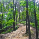 南山风景区 - 重庆旅游 缩略图 2