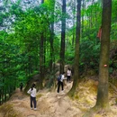 南山风景区 - 重庆旅游 缩略图 5
