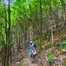 南山风景区 - 重庆旅游 缩略图 1