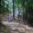 南山风景区 - 重庆旅游 缩略图 7