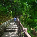 南山风景区 - 重庆旅游 缩略图 9