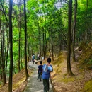 南山风景区 - 重庆旅游 缩略图 8